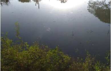 Imagem 4: Sítio em Riachão