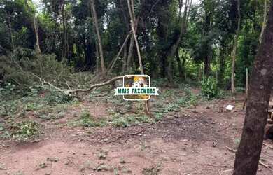 Imagem 3: Chácara 1.566,78 metros quadrados. Mairipotaba - Goiás