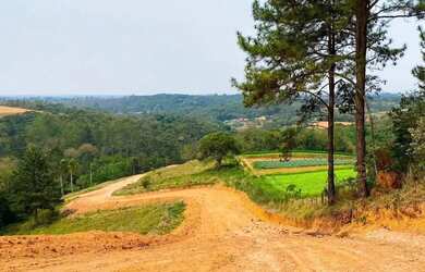Imagem 2: Condições Imperdíveis: Terreno de 500m² à Venda em Ibiúna