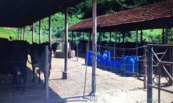 Imagem 5: Terreno à venda em , cod:12897