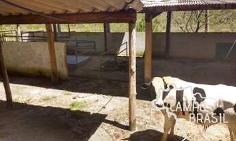 Imagem 5: Campo Brasil Imóveis, realizando seu sonho rural! Sítio de 32aq em Monteiro Lobato!