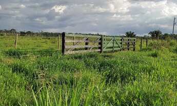 Imagem: Fazenda