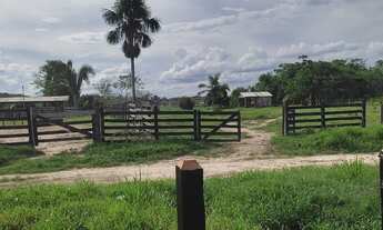 Imagem 2: Fazenda Fazenda / sítio com venda por R$1.200.000