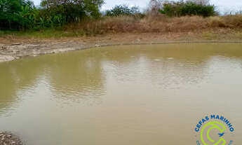 Imagem 3: Chácara Paraíso à Venda - Triunfo, PE