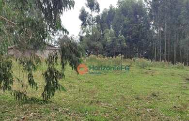 Imagem 4: Chácara à venda, 9 Alqueires por R$ 300.000 - Zona Rural - Pinhão/PR