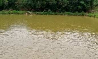 Imagem 3: Sitio em jacui 1 alq e 1\4 480.000.00