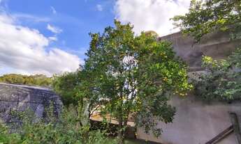 Imagem 7: Porto Alegre - Casa Padrão - Jardim Sabará