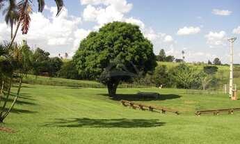 Imagem 7: Chácara - Condomínio Rural Colméia - Jaguariúna