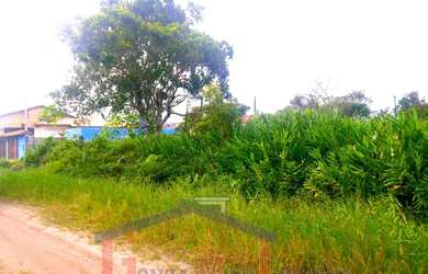 Imagem 2: VENDE-SE TERRENO COM ESCRITURA EM PERUÍBE