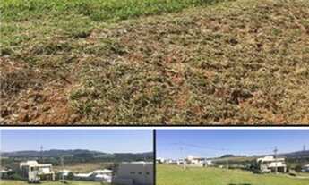 Imagem: Terreno boa topografia no Cond. Sete Lagos