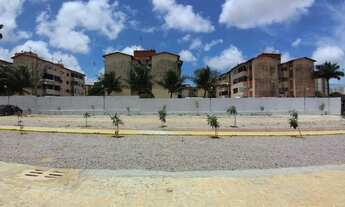 Imagem 2: Apartamento para aluguel e venda possui 50 metros quadrados com 2 quartos, banheiro social