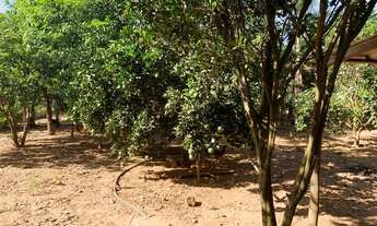 Imagem 2: Fazenda/Sítio/Chácara para venda possui 250 metros quadrados com 5 quartos em Centro - Ita