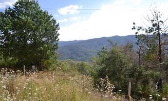 Imagem 1: Terreno / Venda Terreno / lote com venda por R$490.000