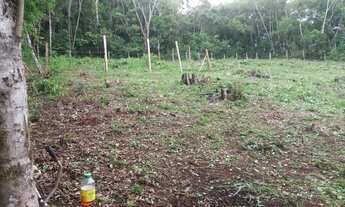 Imagem 6: Chácara em Rio Branco do Sul