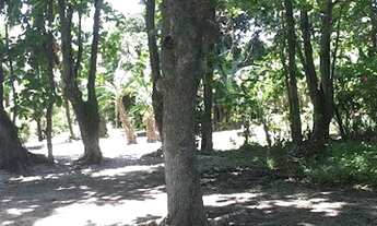 Imagem 2: Terreno à venda, 3425 m² por R$ 2.500.000,00 - Porto da Roça I - Saquarema/RJ