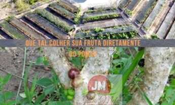 Imagem 6: Lote Green ville