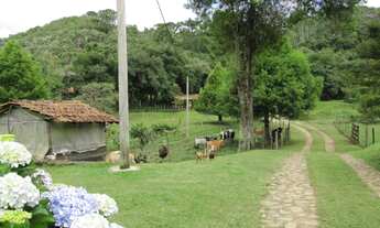 Imagem: Sítio para Venda em Cunha, Paraibuna