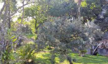 Imagem 6: Chácara 2000 metros Piedade sp