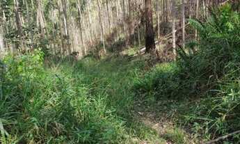 Imagem 5: Terreno para sitio 9 hectares(Aceito carro