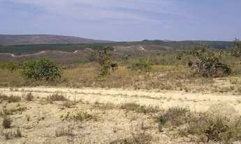 Imagem 2: Chacara 20 mil metros 45.000,000