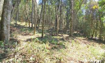 Imagem 2: Terreno à venda, 1940 m² por R$ 280.000,00 - Nova Capivari - Campos do Jordão/SP