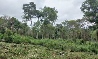 Imagem 3: 22 Lotes de 500m² em Ibiúna-SP - Campo Verde 19UI80J
