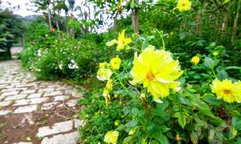 Imagem 4: Área especial na região