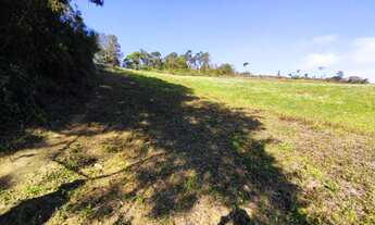 Imagem 6: Área para formar chácara com 67.000m² Jardim são roque- Campo novo