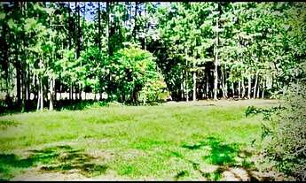 Imagem 7: Terreno com Lago