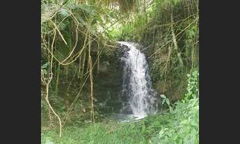 Imagem 3: Vende-se sitio no bairro da Gloria em Cristina-MG