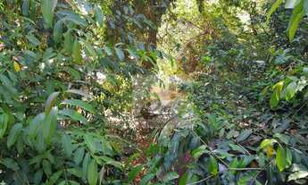 Imagem 2: Terreno à venda, 360 m² por R$ 350.000,00 - Universitário - Belo Horizonte/MG