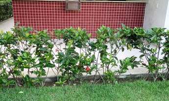 Imagem 6: Apartamento 2 Quartos / Locação /Bairro Universitário