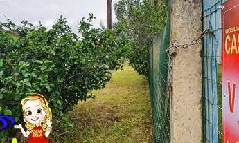 Imagem 3: Casa para venda tem 1 metros quadrados com 3 quartos em Mariluz C - Imbé - RS