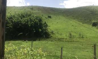 Imagem 4: Fazenda/Sítio/Chácara para venda tem 250 metros quadrados com 2 quartos em Registro - Taub