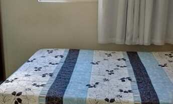 Imagem 6: Lt; Portucale - Sombra