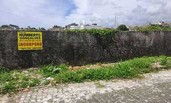 Imagem 2: Terreno na Avenida Canavieiras