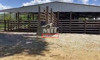 Imagem 2: Fazenda 303 alqueires (1467 hectares) Vila Propício-GO