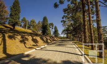 Imagem 7: Terreno à venda, 1346 m² por R$ 1.400.000,00 - Alto Do Capivari - Campos do Jordão/SP