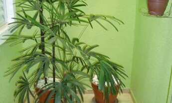 Imagem 5: Sobrado com 3 dormitórios à venda, 109 m² por R$ 500.000,00 - Vila Flórida - Guarulhos/SP