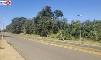 Imagem 4: Goiânia - Terreno Padrão - Setor Faiçalville