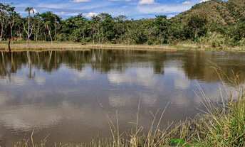 Imagem 3: FAZENDA COM 526HA, NA BEIRA DO ASFALTO, 155KM DE BRASILIA