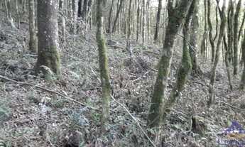 Imagem 1: CHÁCARA FAZENDA SOUZA