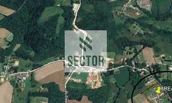 Imagem 2: Galpão / Depósito / Armazém em Colônia Zacarias - São José dos Pinhais