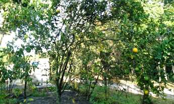 Imagem 2: Chácara a Venda Itanhaém, litoral SP