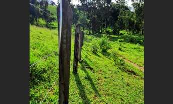 Imagem 4: Vende-se sitio no bairro da Gloria em Cristina-MG