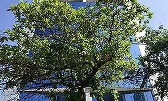 Imagem 7: Conjunto para alugar, 409 m² - Brooklin - São Paulo/SP