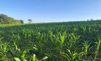 Imagem: Invista com lotes imperdíveis em Ibiúna