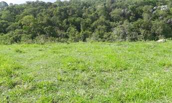 Imagem: Lote/Terreno para venda possui 1000 metros