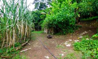 Imagem 3: Área especial na região