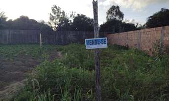 Imagem 6: Chão de casa 7×23